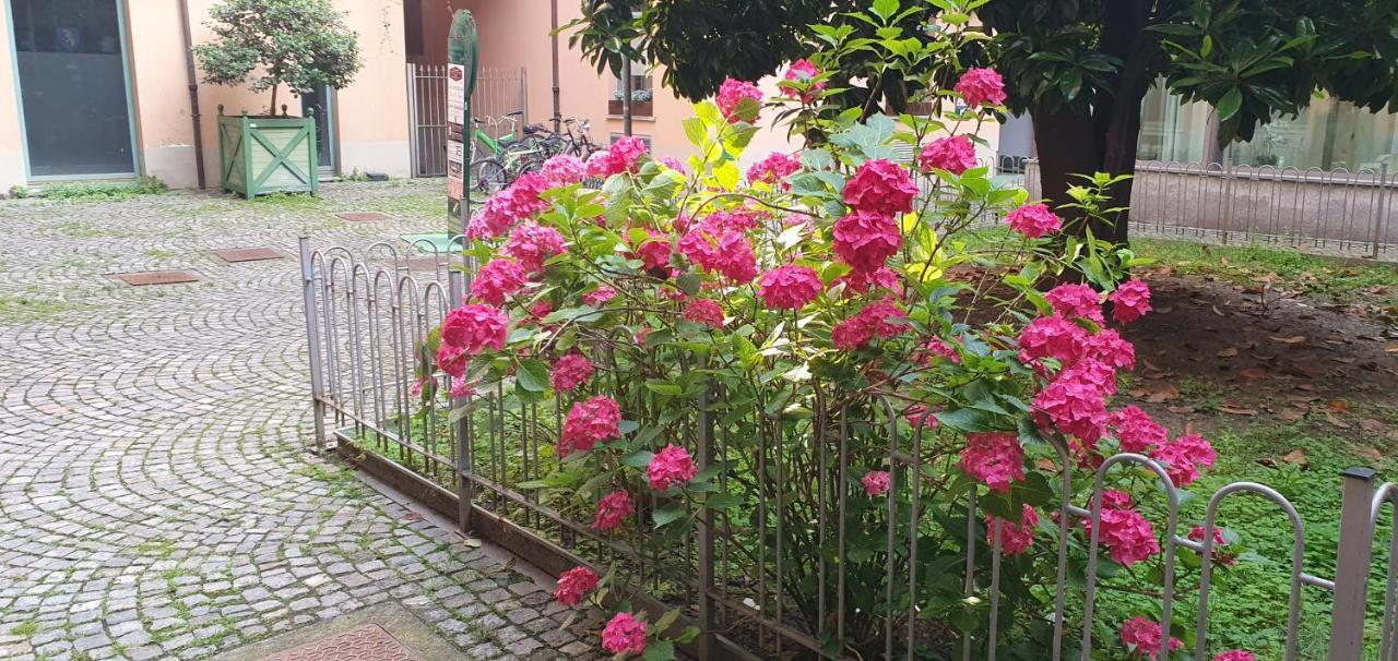 Central Loft Carina Ideale Per Visitare Il Centro Di Torino Eksteriør billede